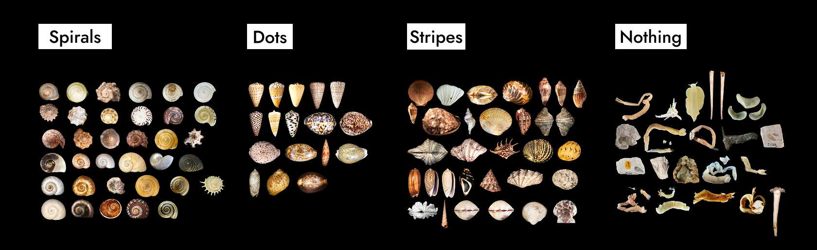 SIGNIFY Poster Example